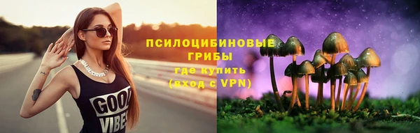 СК Снежногорск