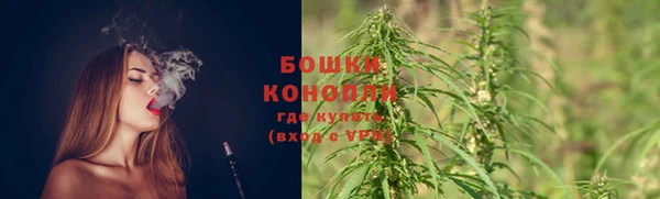 СК Снежногорск