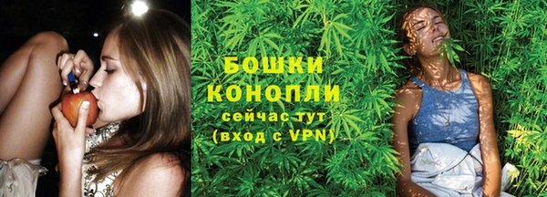 амф Снежинск
