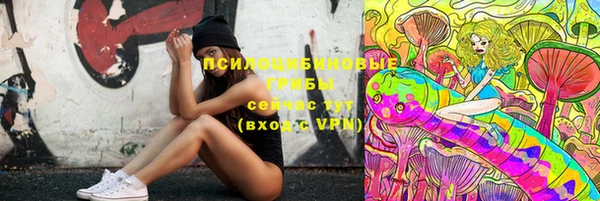сатива Слюдянка