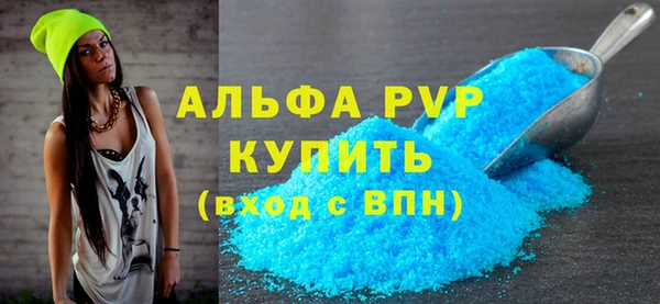 СК Снежногорск