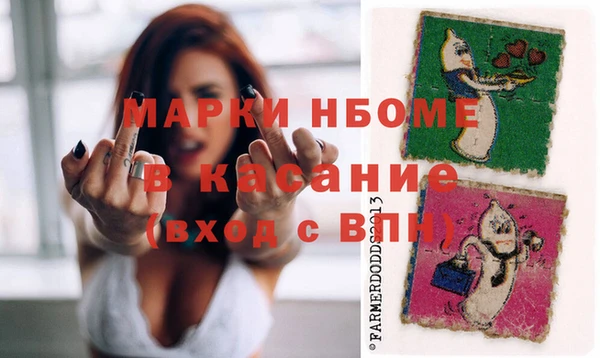 СК Снежногорск