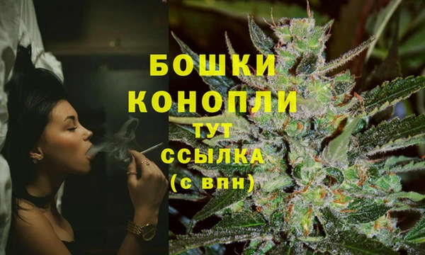 СК Снежногорск