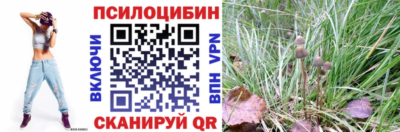 Галлюциногенные грибы мицелий Купить Куса